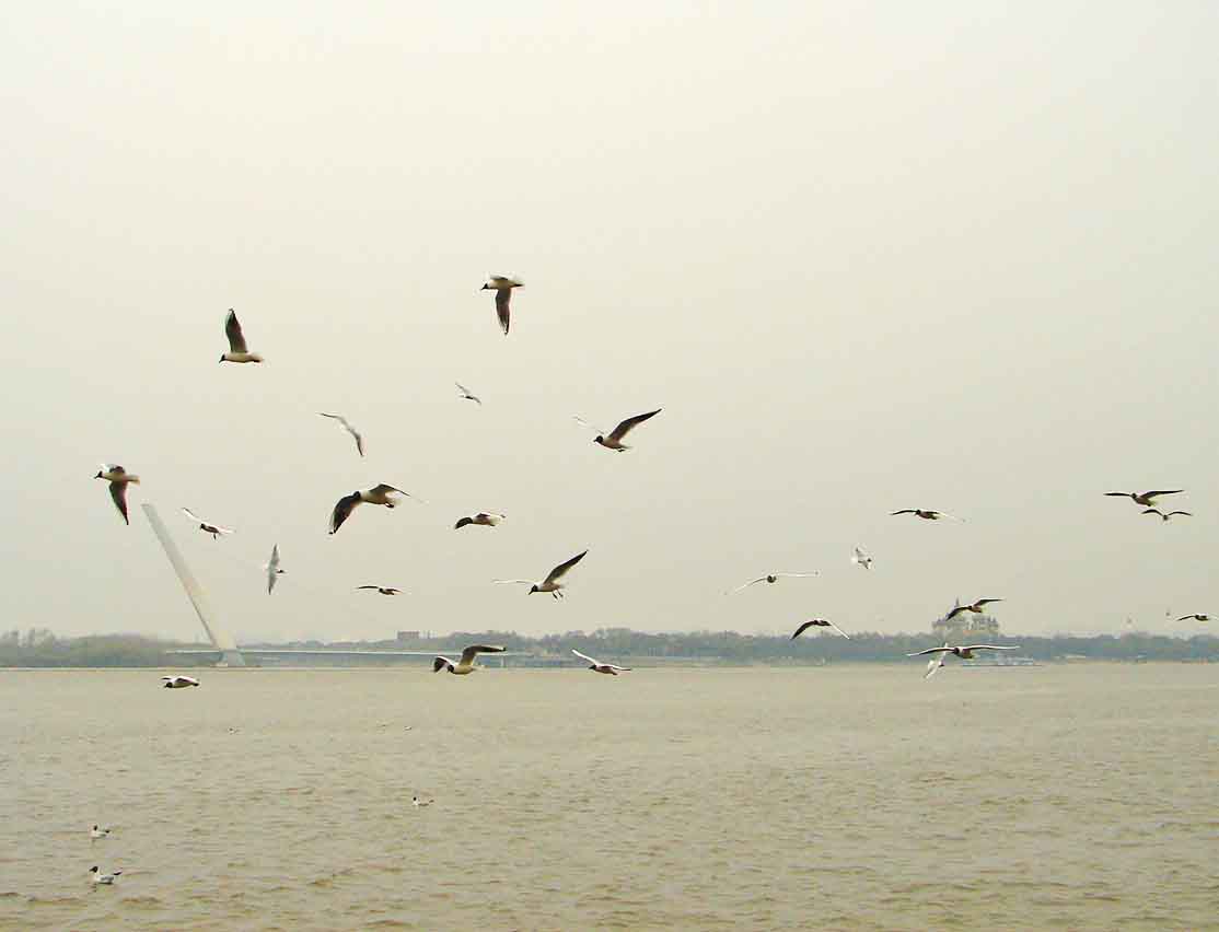 DSC03414-3.jpg