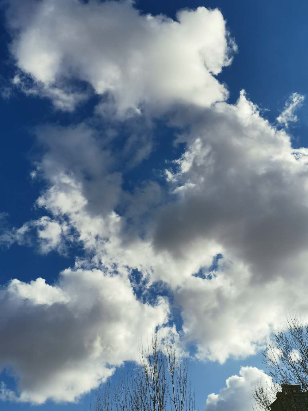 ΢ͼƬ_202004261551302.jpg