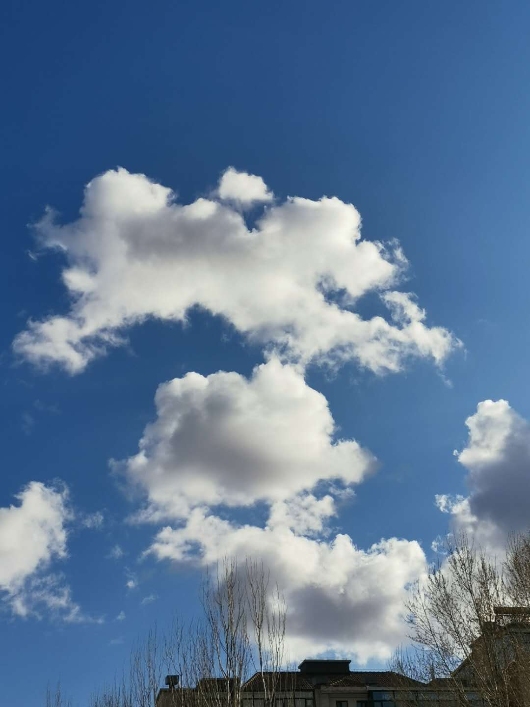 ΢ͼƬ_202004261551304.jpg