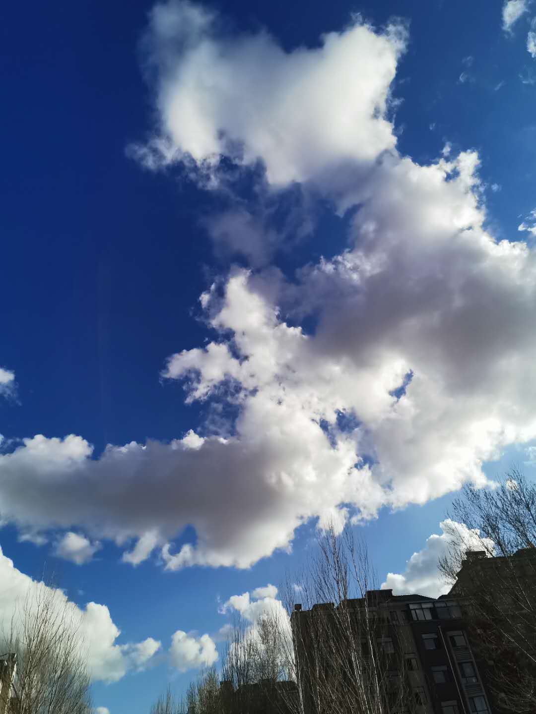 ΢ͼƬ_202004261551306.jpg