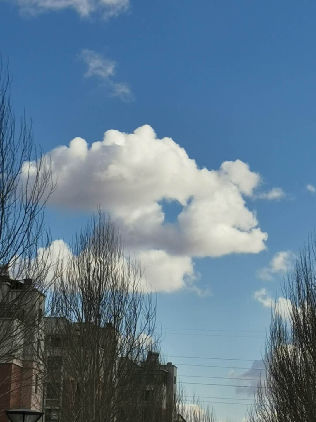 ΢ͼƬ_202004261551308.jpg