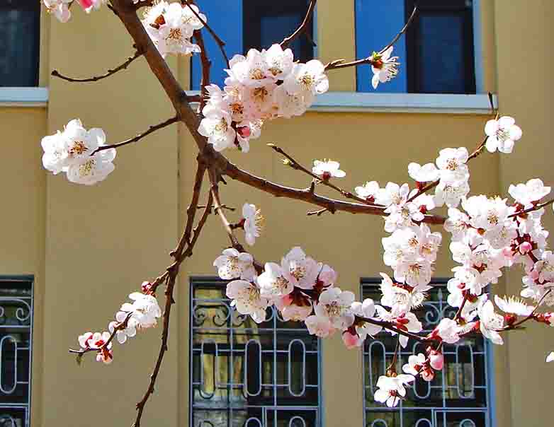 3-DSC05731-3ˮ.jpg