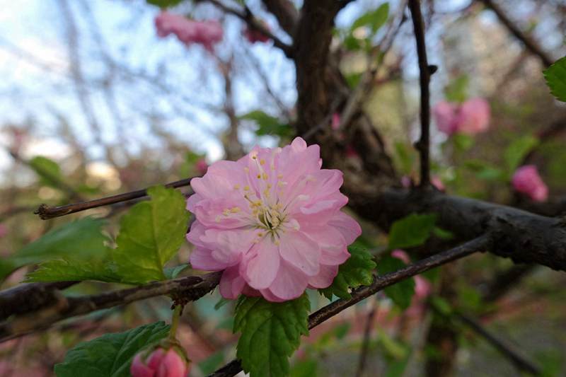 DSC09080.JPG