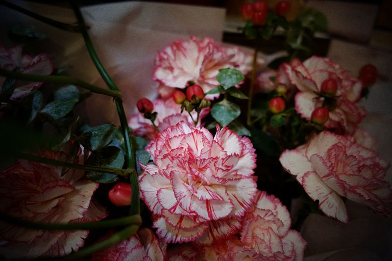 DSC09401.JPG