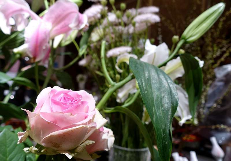 DSC09385.JPG