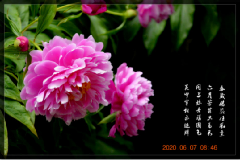 DSC_0014_ͼ_meitu_1_meitu_6.jpg