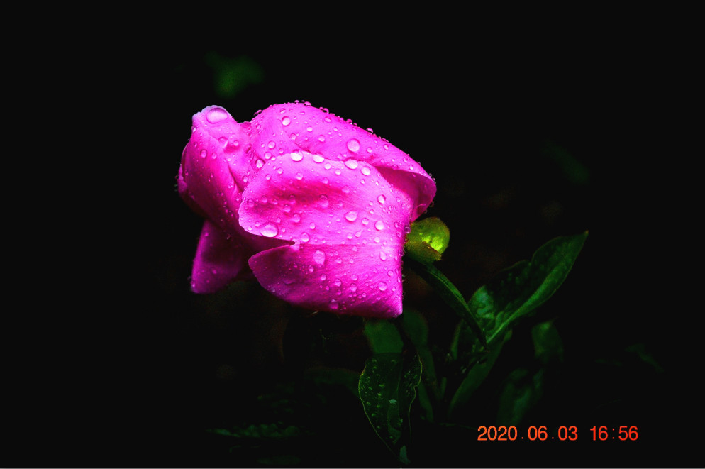 DSC_0007_ͼ_meitu_2.jpg