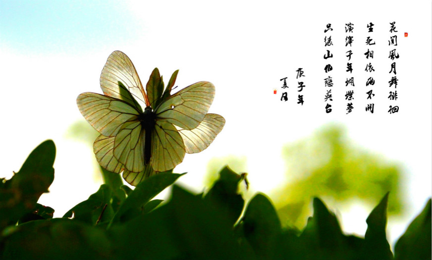 DSC_0095_ͼ_meitu_1_meitu_7.jpg