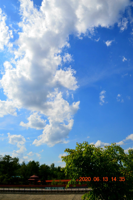DSC_0011_ͼ_meitu_7.jpg