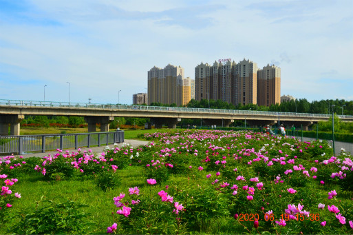 DSC_0019_ͼ_meitu_4.jpg
