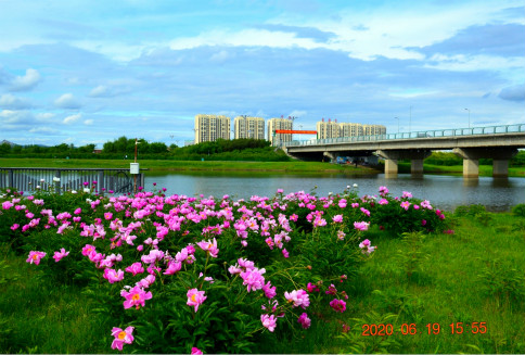 DSC_0049_ͼ_meitu_5.jpg