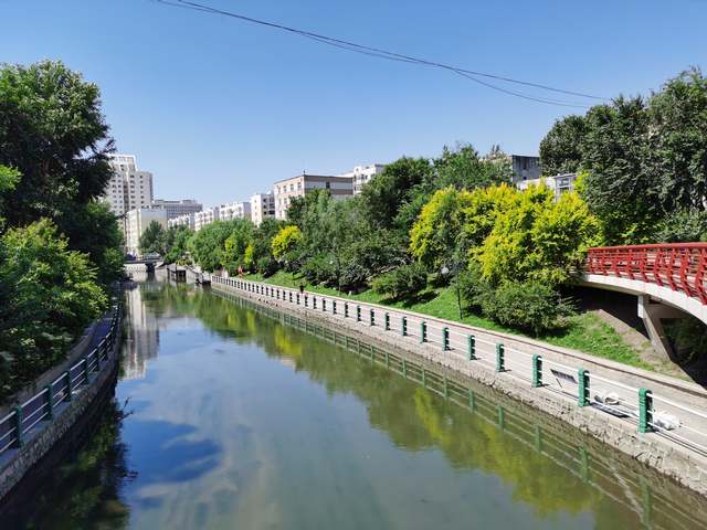 IMG_20200712_102337.jpg