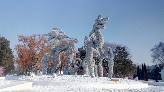 IMG_10ѩ.jpg