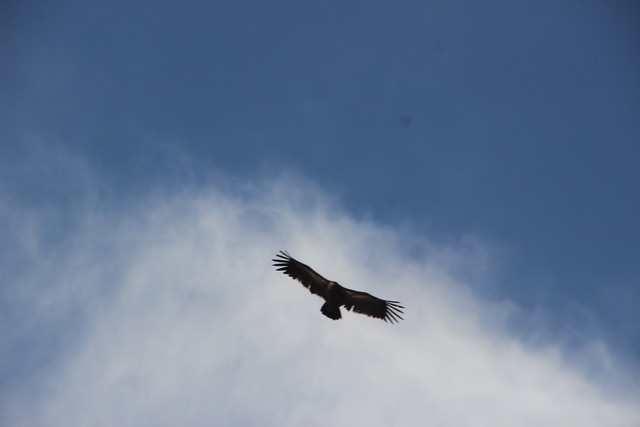IMG_3150.JPG