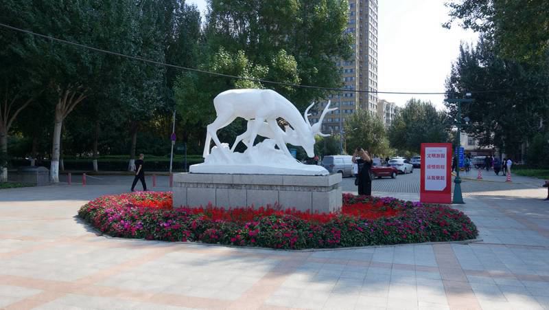 DSC01619.JPG