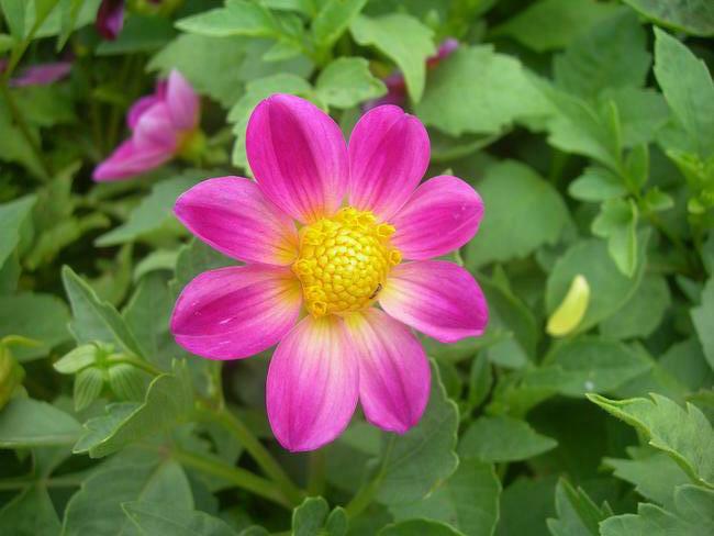 DSCN1585.JPG