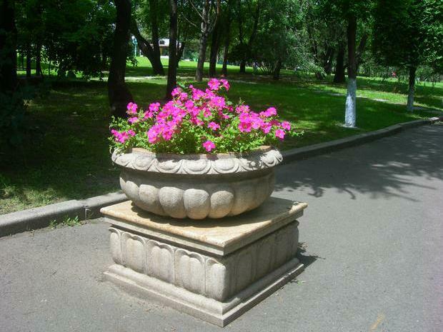 DSCN1457.JPG