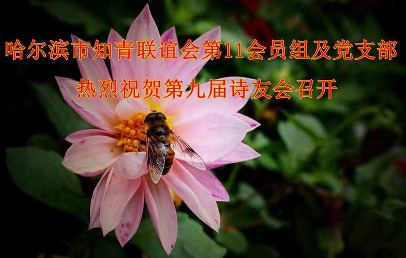 DSC02328.JPG