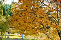 _DSC5575_.jpg