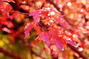 _DSC5588_.jpg