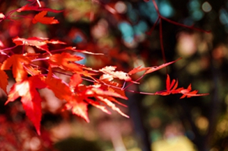 _DSC5591_.jpg