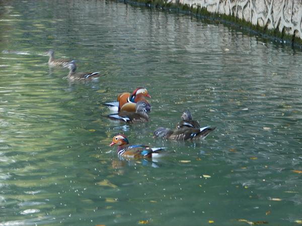 DSC06552.JPG