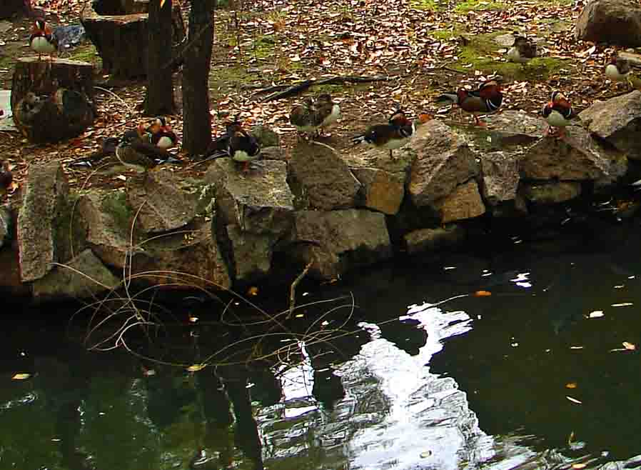 DSC06056-3.jpg