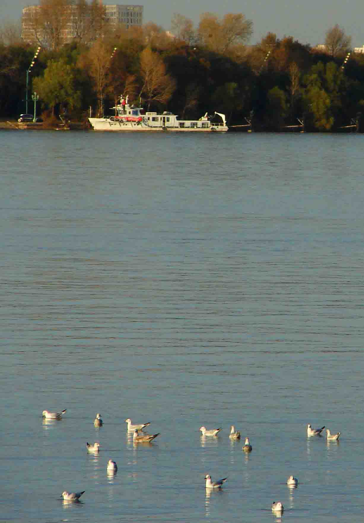 DSC08951-3-.jpg