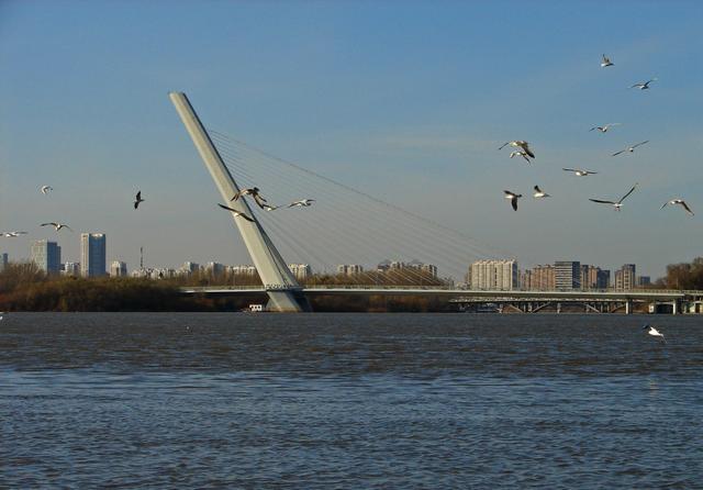 4-DSC09881-.jpg