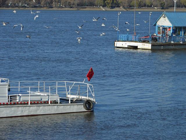DSC00090-.jpg