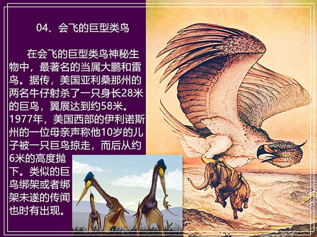 04ɵľ [640x480].jpg