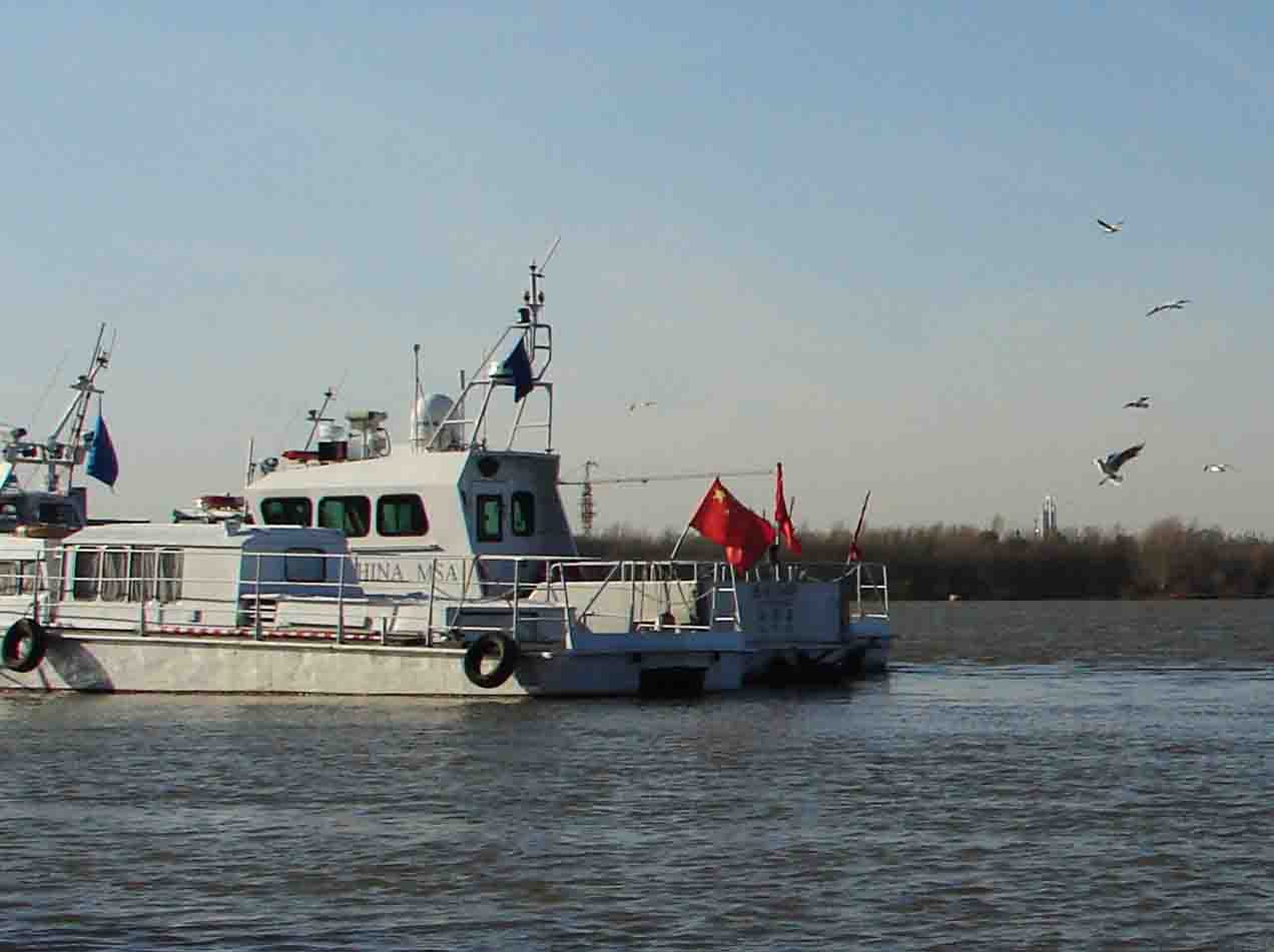 DSC00010-3-.jpg