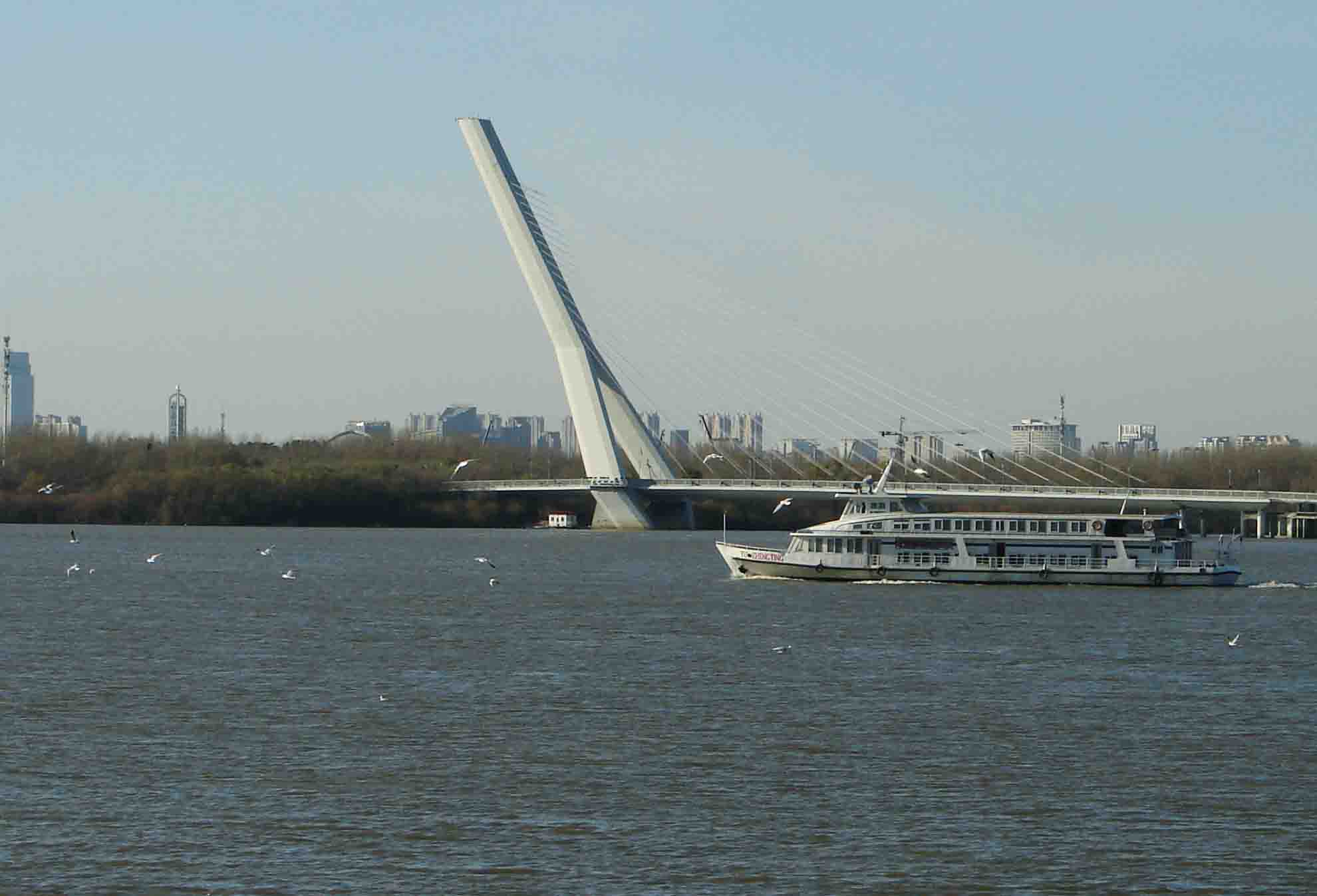 DSC09747-3.jpg