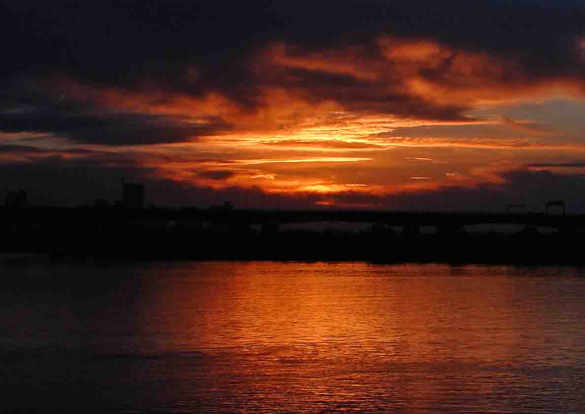 DSC00242-3-.jpg