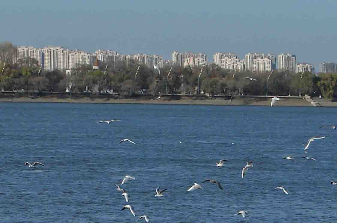 DSC00086-3.jpg