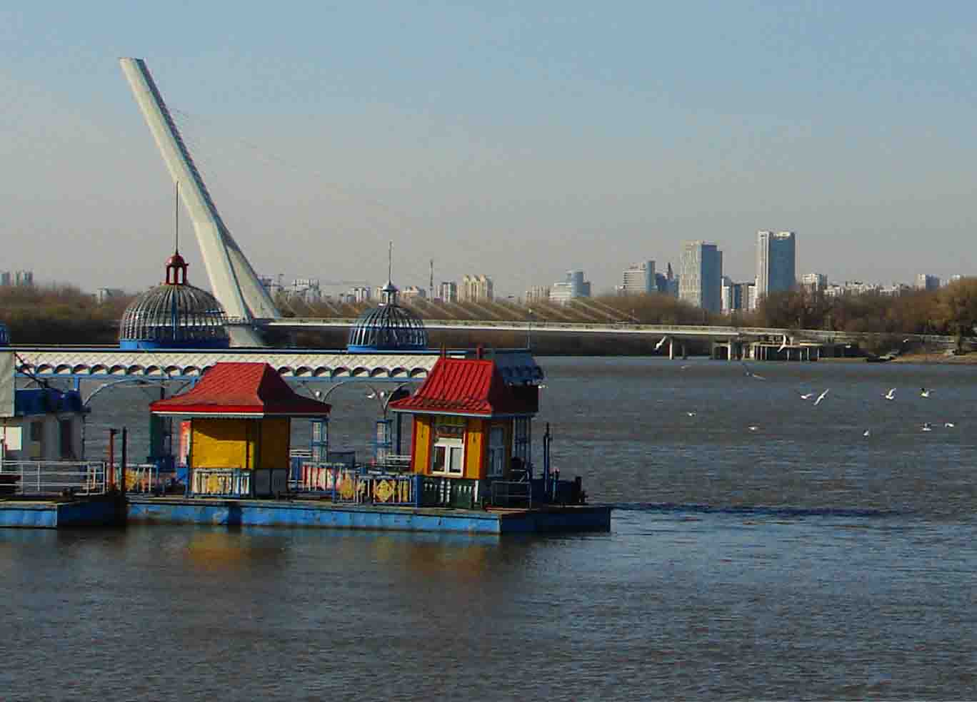 DSC09851-3.jpg