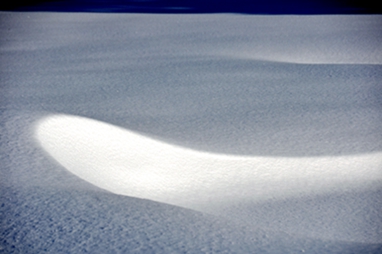_DSC5648_.jpg
