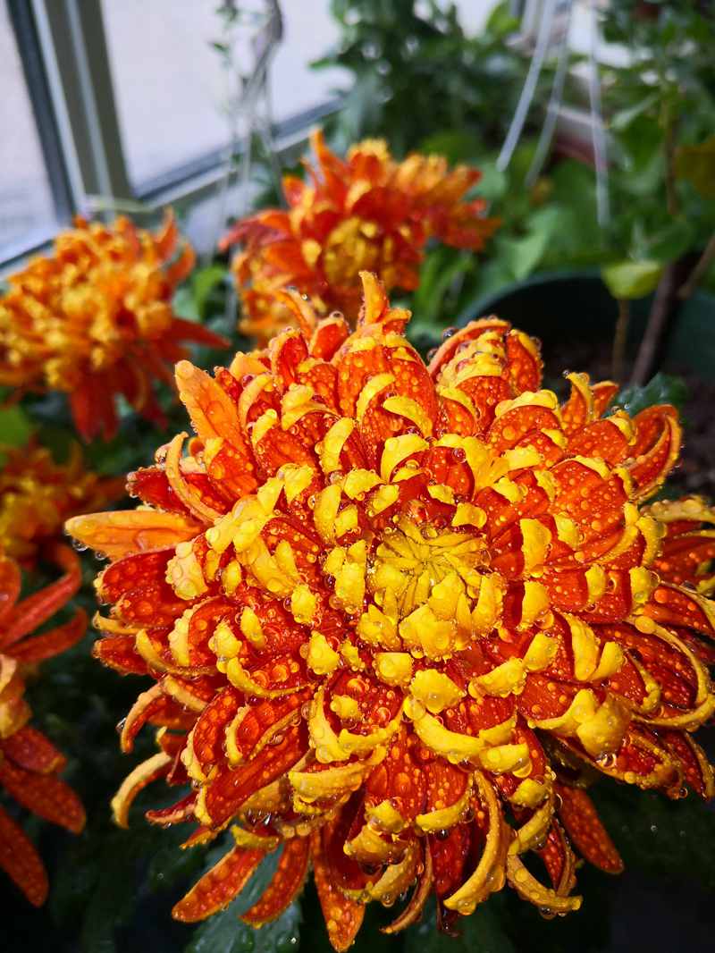 ΢ͼƬ_20201123100912.jpg