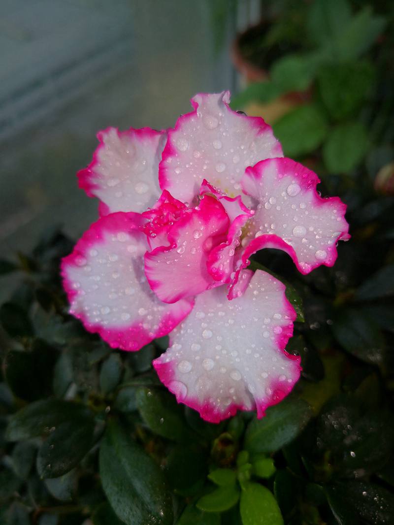 ΢ͼƬ_20201123100926.jpg