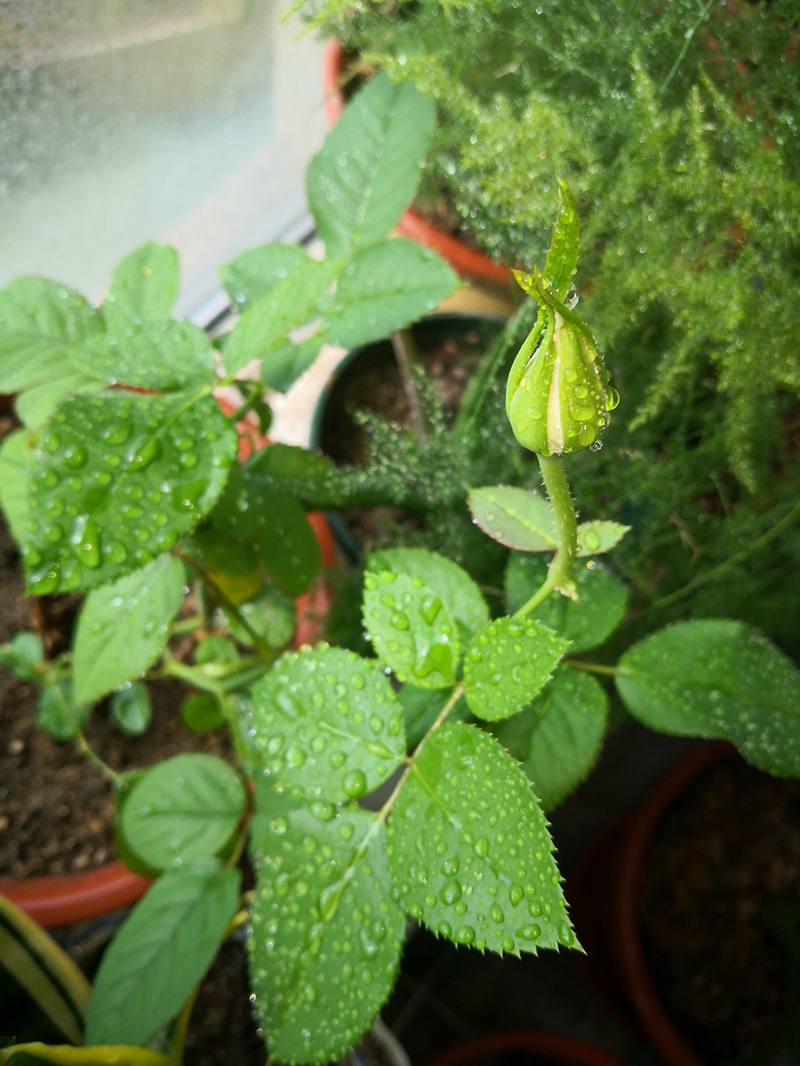 ΢ͼƬ_20201123100942.jpg