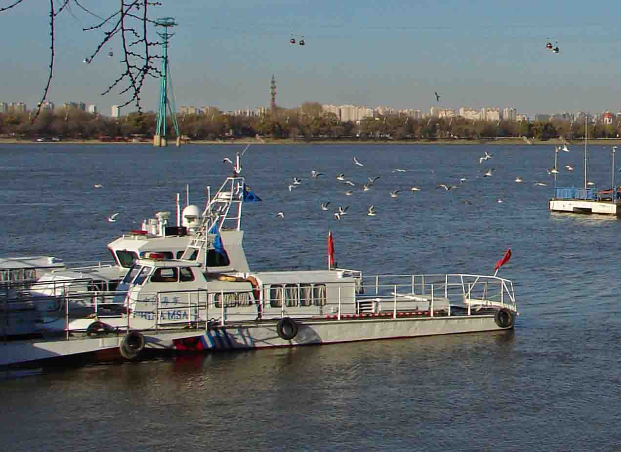 DSC00084-3.jpg