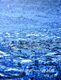_DSC5715__.jpg
