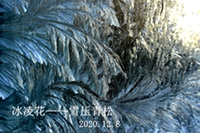 _DSC5708_.jpg
