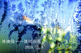 _DSC5728_.jpg