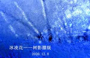 _DSC5743_.jpg