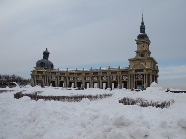 IMG_8981.JPG