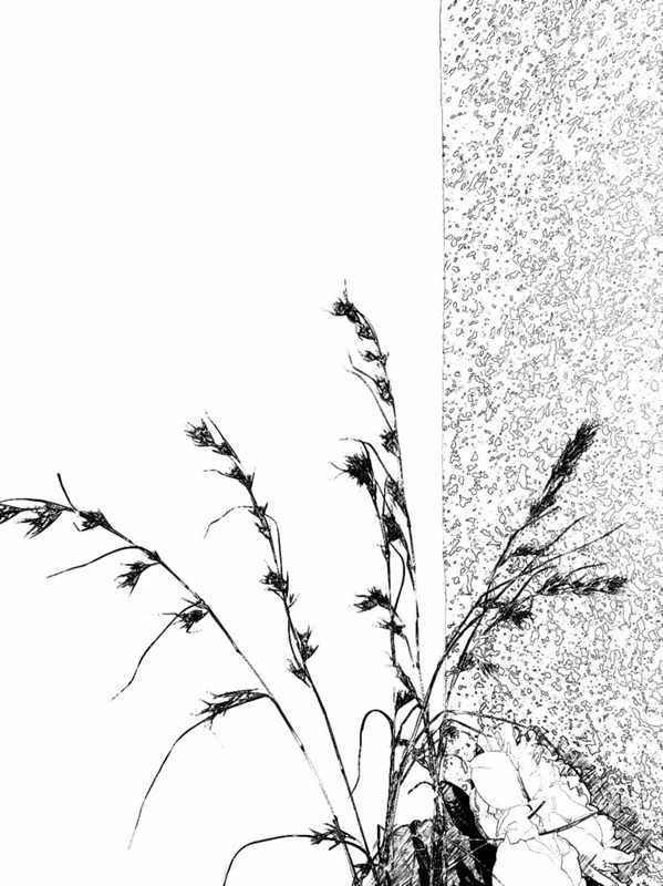 ΢ͼƬ_20210107111857.jpg