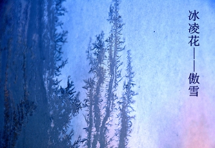 _DSC5758_.jpg