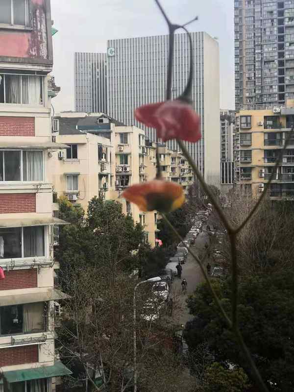 ΢ͼƬ_20210110101151.jpg