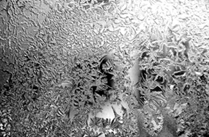 _DSC5780_.jpg